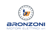 Bronzoni Motori Elettrici 单相和三相异步电动机